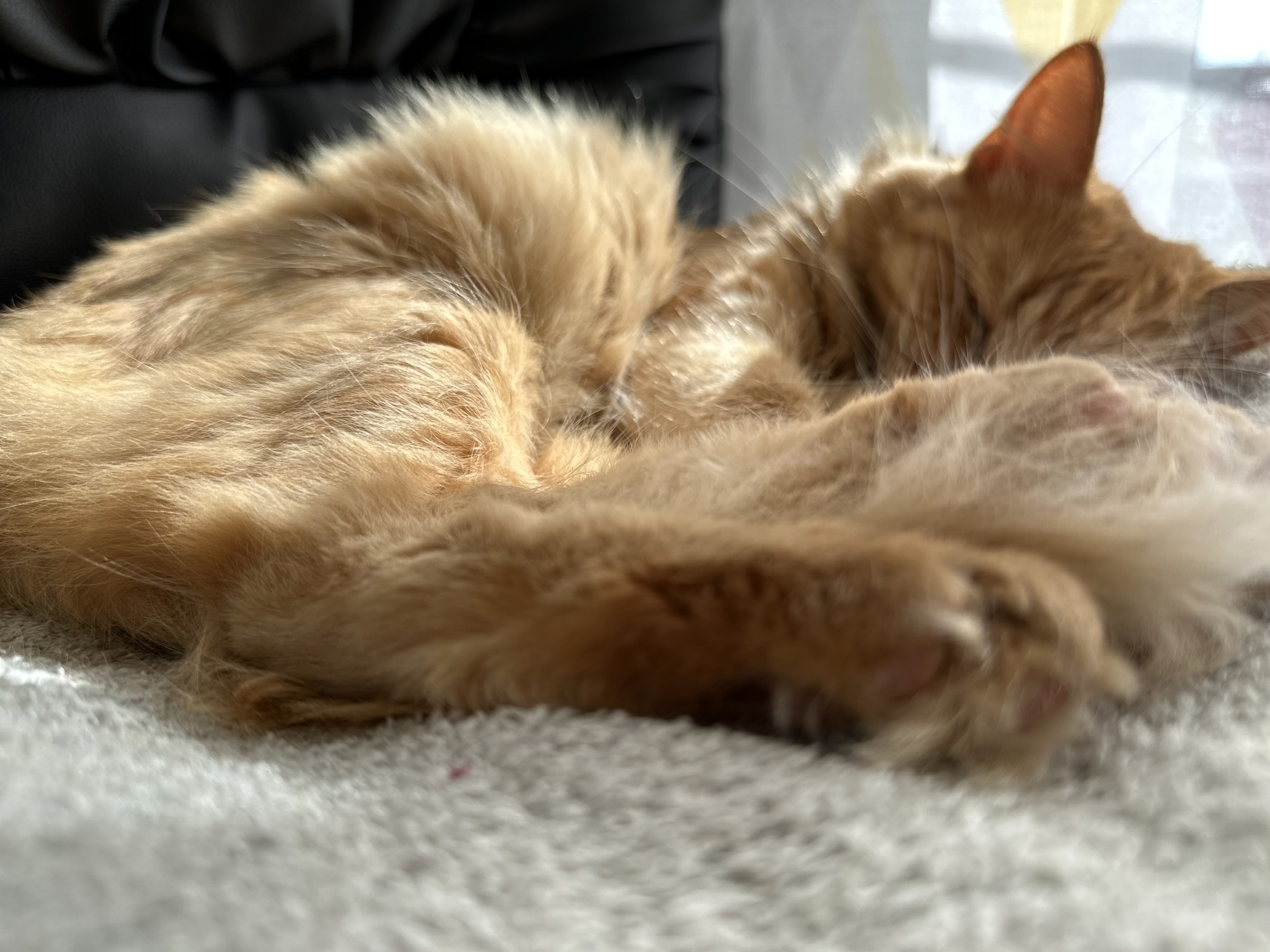 Image by Cat 09/24/2025